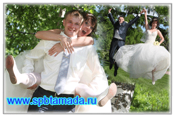     www.spbtamada.ru,   . -    8 911 700 1010
