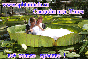  www.spbtamada.ru,   . -    8 911 700 1010
